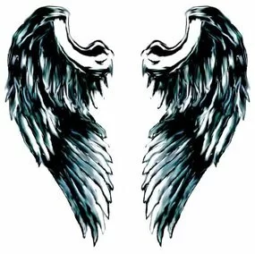 Angel Wings Picture #O