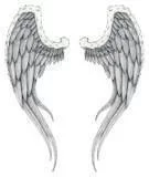 Angel Wings Picture #P