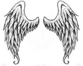 Angel Wings Picture #R