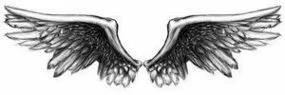 Angel Wings Picture #S