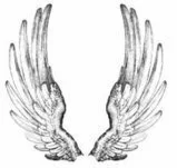 Angel Wings Picture #T