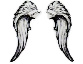 Angel Wings Picture #X