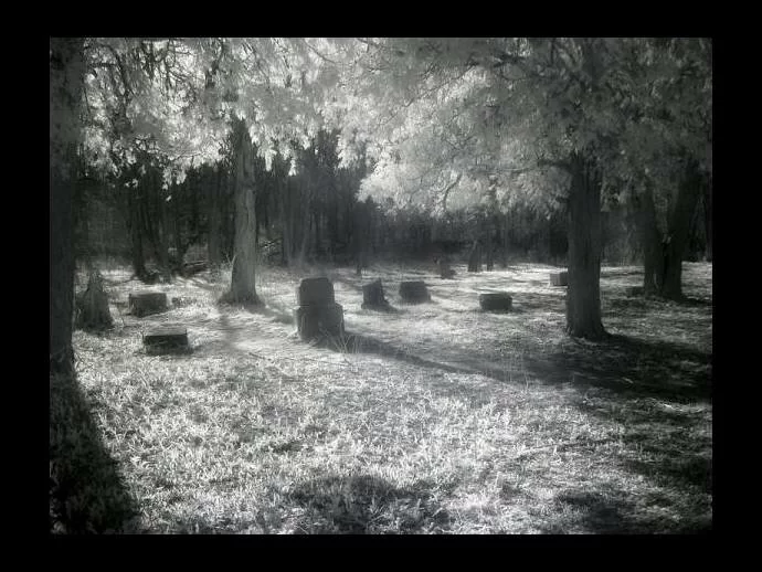 Bachelor's Grove Cemetery: Infrared Photograph