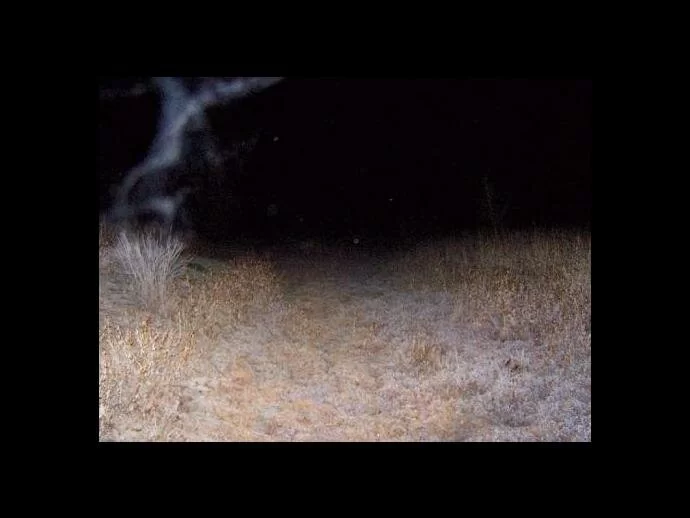 Tillie Creek campground ectoplasm ghost picture