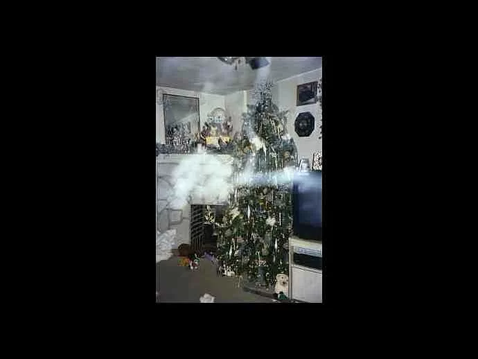 Christmas Spirit Ghost Picture