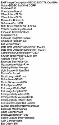 Exif Data of the ghost photo...