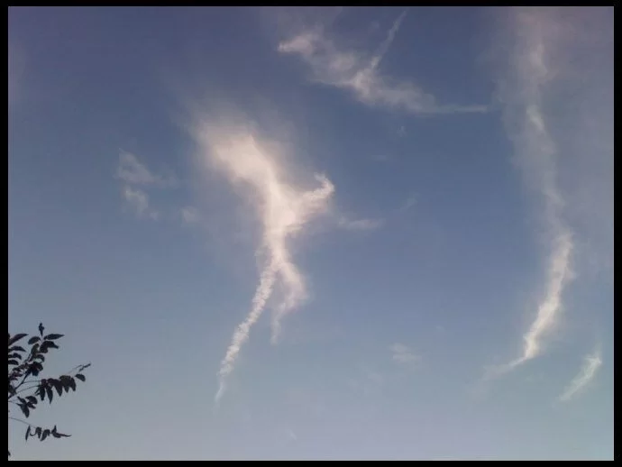 Houston Cloud Angel Picture