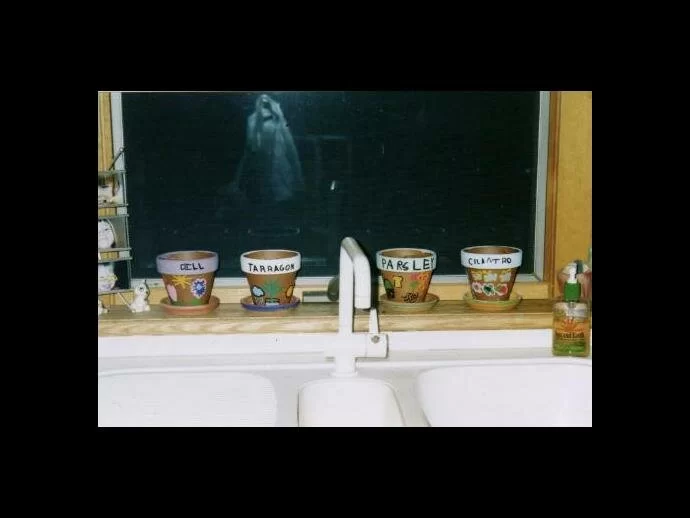 kitchen window ghost picture