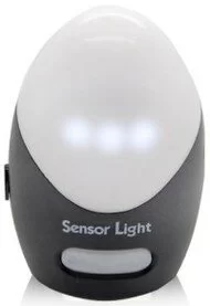 Motion Detector Light