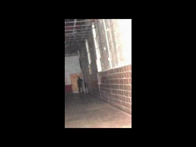 Highly lightened image of the shadow man...