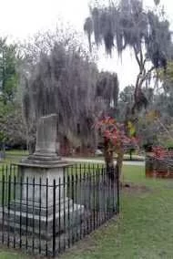 Colonial Park Cemetery Video: Spanish Moss drapes from trees...