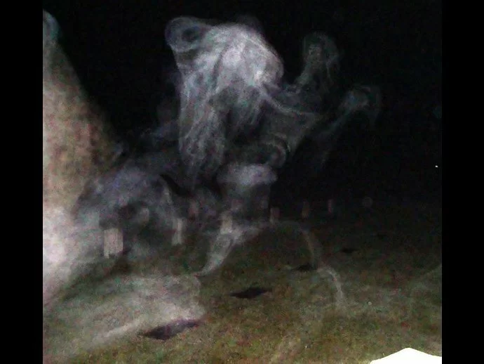 Same ghost photo lightened a bit...