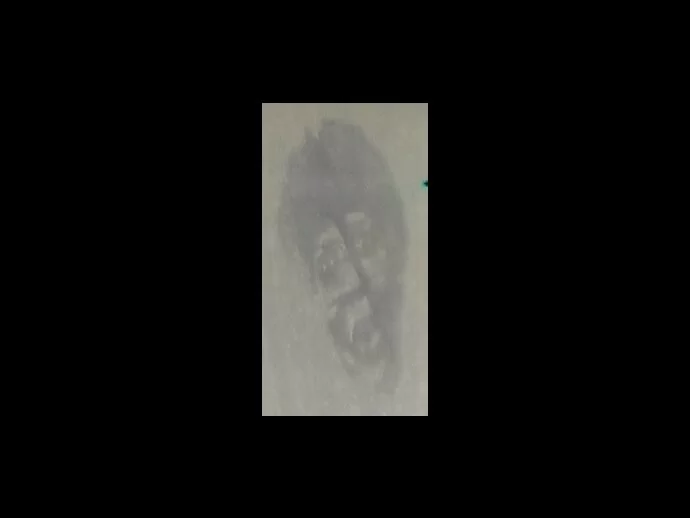 The negative image of the frosty face. Many people see an African-American woman in the negative image.