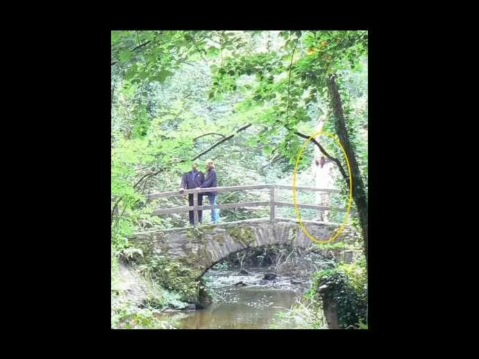 Wishing Well - Kingscourt Ghost Picture