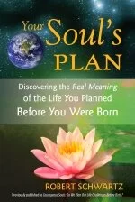 Your Soul's Plan